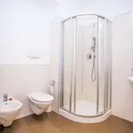 Rent 1 bedroom apartment of 40 m² in prague