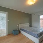 Rent 3 bedroom apartment of 245 m² in Turin