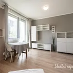 Rent 1 bedroom apartment in Praha 5