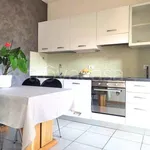 Rent 3 bedroom apartment of 75 m² in Sarnonico