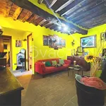 Rent 3 bedroom apartment of 70 m² in Capannori