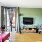 Rent 2 bedroom apartment of 72 m² in breda