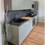 Rent 2 bedroom apartment of 60 m² in Turin