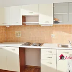 Rent 3 bedroom apartment of 45 m² in Ostrava