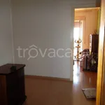 Rent 3 bedroom apartment of 70 m² in Cerveteri