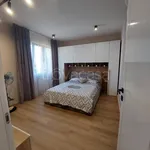 Rent 1 bedroom apartment of 50 m² in Padova