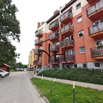 Rent 1 bedroom apartment of 32 m² in Wrocław