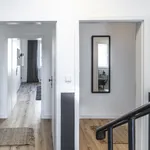 Rent 1 bedroom apartment of 40 m² in Dusseldorf