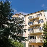 Rent 2 bedroom apartment of 45 m² in Brno