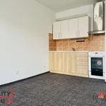 Rent 1 bedroom apartment of 31 m² in Rychnov nad Kněžnou