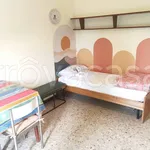 Rent 1 bedroom apartment of 40 m² in Cinisello Balsamo