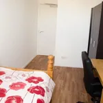 Rent 5 bedroom flat in Leicester