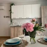 Rent 1 bedroom apartment of 50 m² in Torino