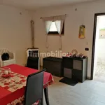 Rent 2 bedroom apartment of 55 m² in Nettuno