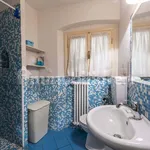 Rent 2 bedroom apartment of 70 m² in Florence