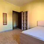 Rent 3 bedroom apartment of 80 m² in catanzaro