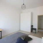 Rent 4 bedroom apartment in Modena