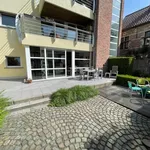 Rent 1 bedroom apartment in Vrasene