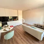 Rent 1 bedroom apartment of 45 m² in Porto