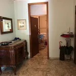 Rent 3 bedroom apartment of 120 m² in Padova