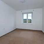 Rent 2 bedroom apartment of 63 m² in Červený Kostelec