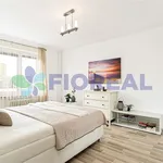 Rent 1 bedroom apartment of 52 m² in Prague