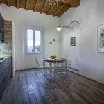 Rent 1 bedroom apartment in Florence