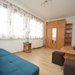 Rent 1 bedroom apartment of 20 m² in Szczecin