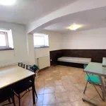 Rent 1 bedroom apartment of 33 m² in Pécs