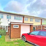 Rent 4 bedroom house in Waverley