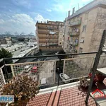 Rent 3 bedroom apartment of 90 m² in Genoa