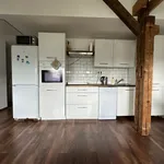 Rent 1 bedroom apartment of 56 m² in Prague