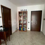 Rent 2 bedroom apartment of 55 m² in Nettuno