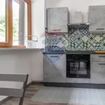 Rent 1 bedroom apartment of 50 m² in 13
 
 Biella