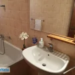 Rent 2 bedroom house of 95 m² in Milan