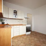 Rent 1 bedroom apartment of 40 m² in Loket