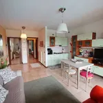 Rent 2 bedroom apartment of 55 m² in Desenzano del Garda