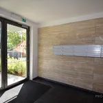 Rent 1 bedroom apartment of 46 m² in Brno