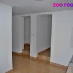 Rent 1 bedroom apartment of 40 m² in Křemže