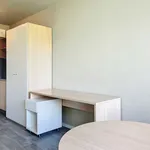 Appartement de 16 m² avec 1 chambre(s) en location à Antwerpen