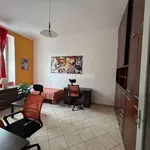 Rent 3 bedroom apartment of 80 m² in Torino