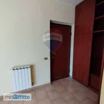 Rent 5 bedroom apartment of 100 m² in Catania