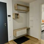 Rent 2 bedroom apartment in Prague