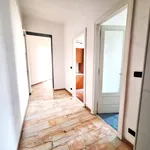 Rent 3 bedroom apartment of 85 m² in Torino