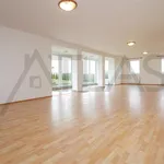 Pronajměte si 6 ložnic/e dům o rozloze 350 m² v Prague