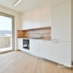 Rent 2 bedroom apartment in Brno