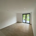 Rent 1 bedroom apartment in Beerse