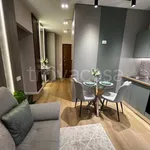 Rent 1 bedroom apartment of 50 m² in Padova