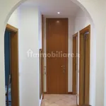 Rent 4 bedroom apartment of 90 m² in Bologna