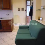 Rent 3 bedroom apartment of 70 m² in Turin